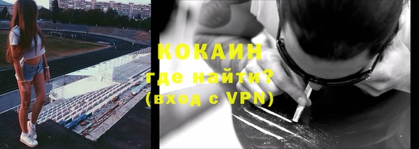 индика Гусиноозёрск