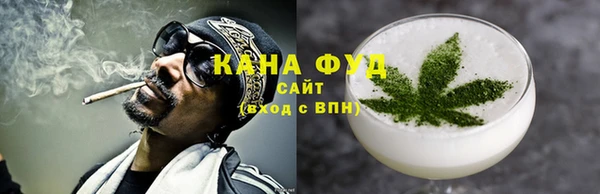 хмурый Гусь-Хрустальный