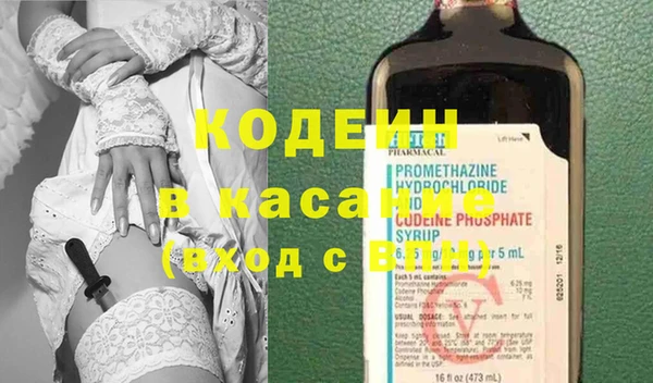 индика Гусиноозёрск