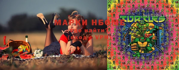 индика Гусиноозёрск
