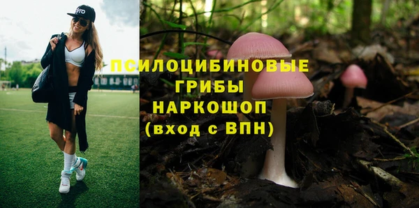 каннабис Горно-Алтайск