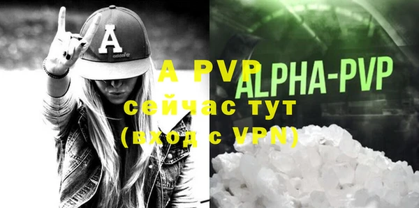 хмурый Гусь-Хрустальный