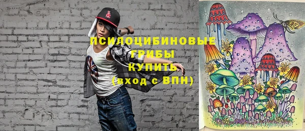 МДМА Горняк