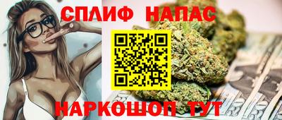 прущие грибы Балаково