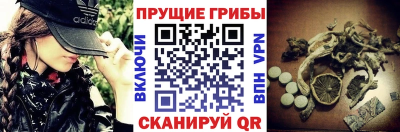 Галлюциногенные грибы прущие грибы OMG зеркало Острогожск