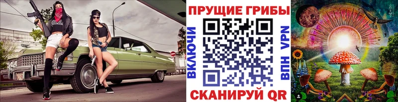 Псилоцибиновые грибы Psilocybine cubensis Острогожск