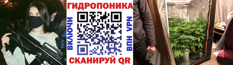 Бошки Шишки гибрид  KRAKEN как войти  Острогожск 